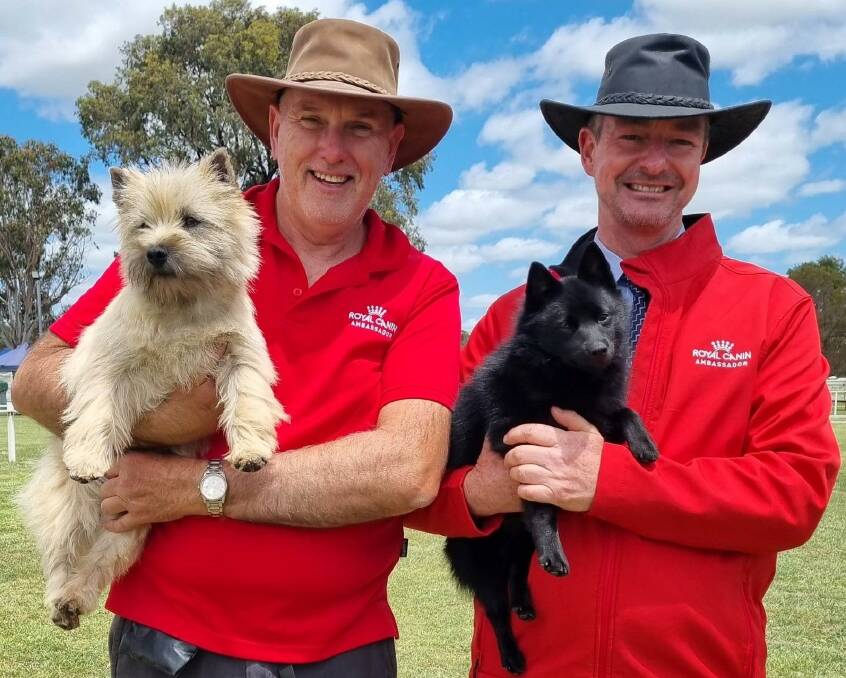 Neil Curwen and Graham Cruse with a Cain Terrier and a Schipperrke.
