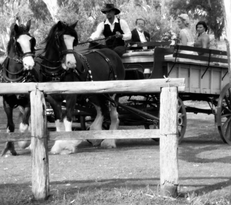 Laura arrived at the ceremony in a horse drawn wagon.