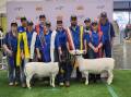 Cowra High School's award winning show team with two of their award winning sheep. Image supplied