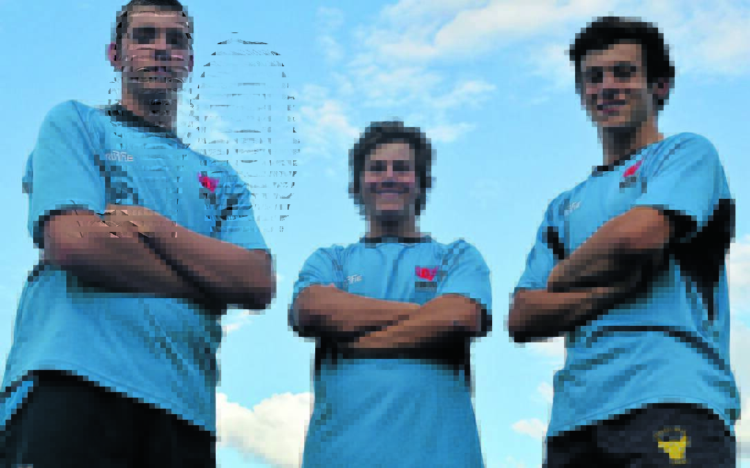 LION CUBS ROARING: Andrew Romano, Beau Westcott and Nick Wald have all made NSW Country squads this year. Photo: MATT FINDLAY