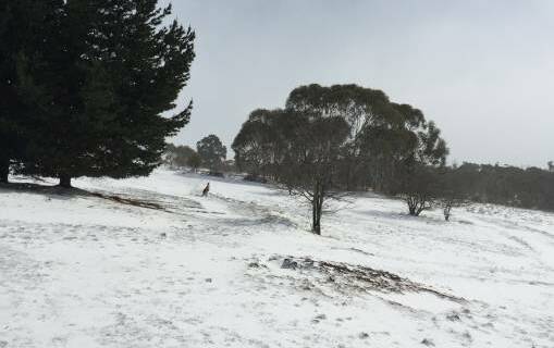Snow at Old Adaminaby