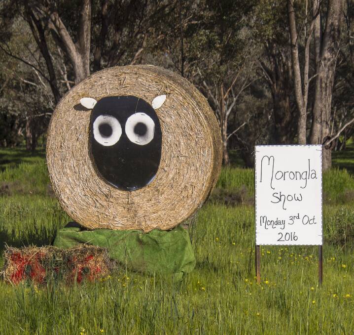 Shaun the Sheep, a popular hay bale from last year, has once again joined the festivities for the annual Morongla Show, kicking off on Monday, October 3 at Morongla Showground. 