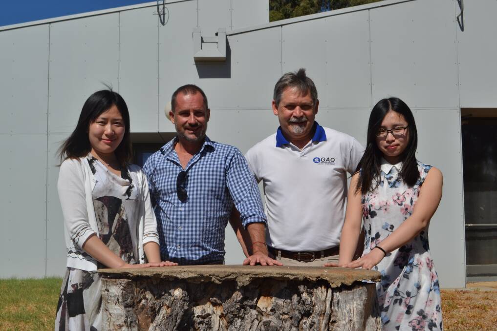 Dr Yimin Zhang from Shandong Agricultural University, CSIRO research scientist Damian Frank, Senior Principal Research Scientist Dr David Hopkins and Xue Chen. 
