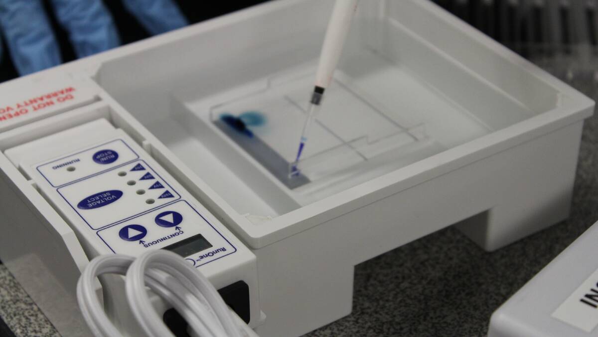 Students then put the dye into an Electrophoresis machine, which separated the colours in the dye. 