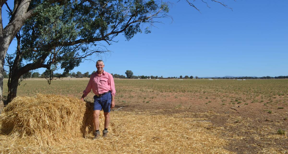 Agronomist Peter Watt from Elders Rural Services Cowra said local farmers have handled the hot, dry conditions over this summer. 