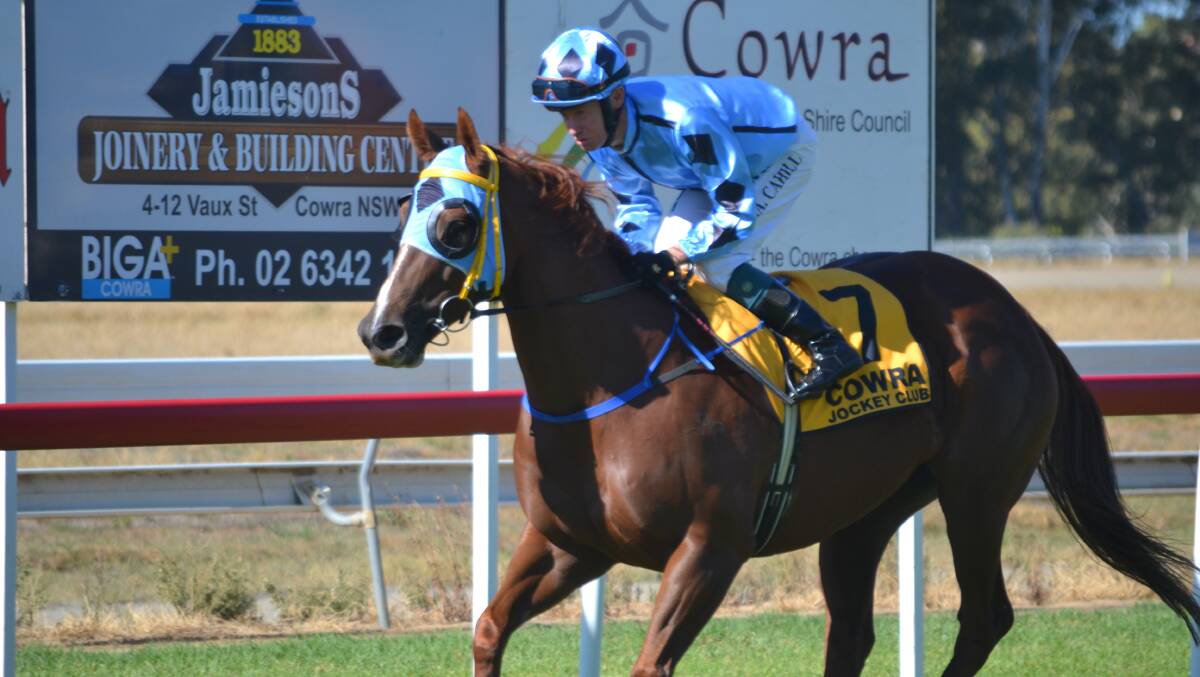 Mathew Cahill has a busy weekend booked with races at Randwick and Coonamble on Saturday and Sunday respectively.