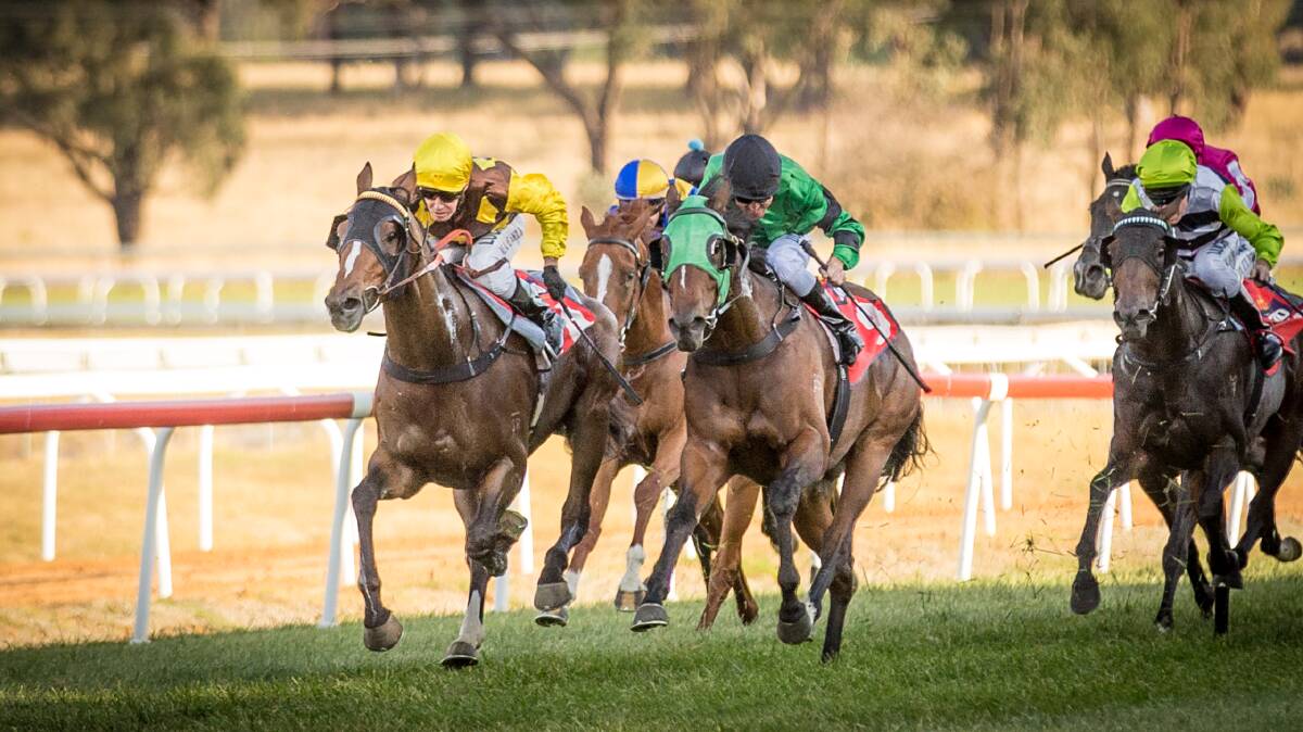 Kathryn Cahill's trained Campfire has been nominated for the Diggers Cup this Thursday. Photo by Janian McMillan ( www.racingphotography.com.au).