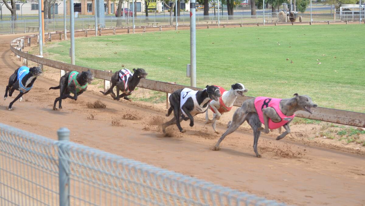 Racing returns to Sid Kallas Oval this Saturday for the club's first night meeting of the summer. There's six races on the program.