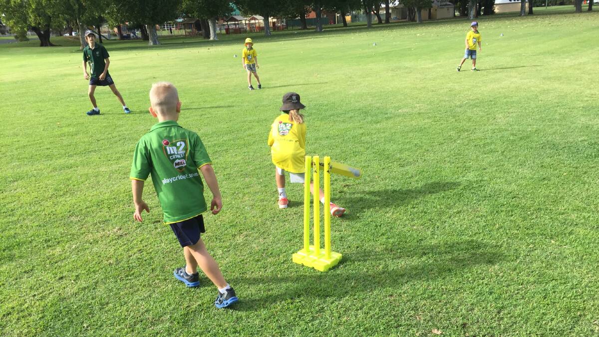 Pictured last season, Milo cricketers in action at River Park. Changes have been made to junior cricket in for 2017-2018.