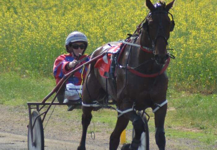 Organisers have been forced to make the tough decision to abandon this year's Canola Cup due to weather. Pictured is last year's winner Oh I Am The One.