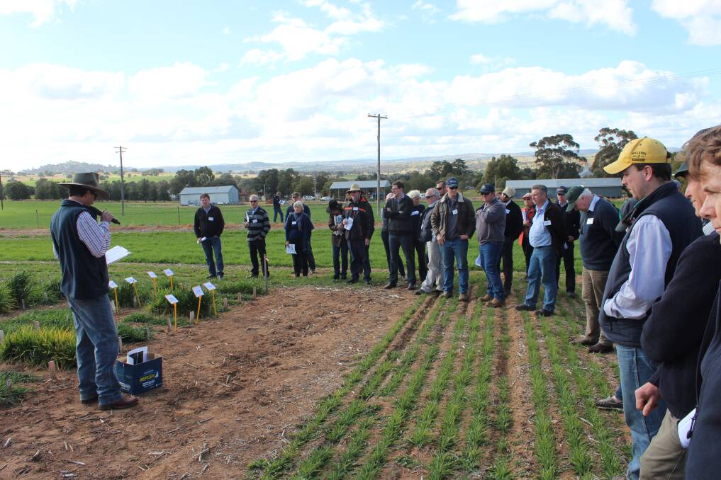 DPI researcher, Matthew Newell, addresses the gathered graziers at the 30th Grassland Society of NSW conference.