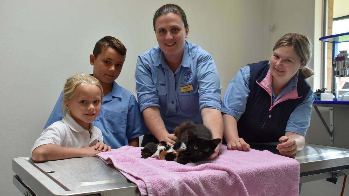 Doctors Madeleine Brady and Lydia Herbert show Lexi and Toby White a young cat and her kittens which have been left at the surgery for re-homing.