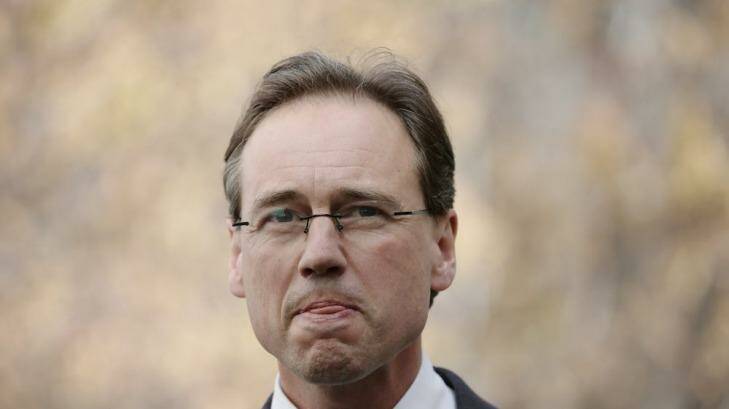 Environment Minister Greg Hunt says companies that exceed carbon emission benchmarks will face no penalties before 2015 under "direct action". Photo: Alex Ellinghausen