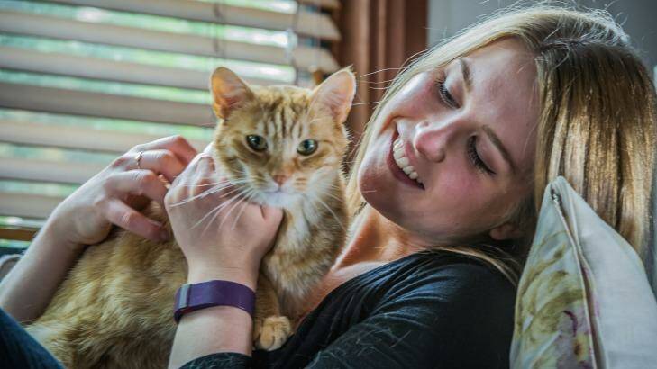 Lexi Monaghan's cat Rufus needed antibiotics because he was sick with the cat flu as a kitten. Photo: Karleen Minney
