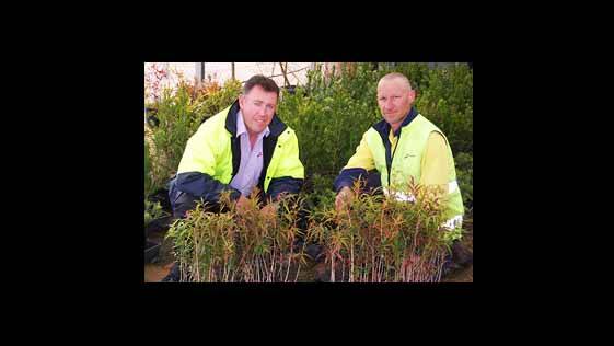 Mark Tucker and horticulturalist Jon Webber getting ready ofr the tree planting in 2012. FILE PHOTO.