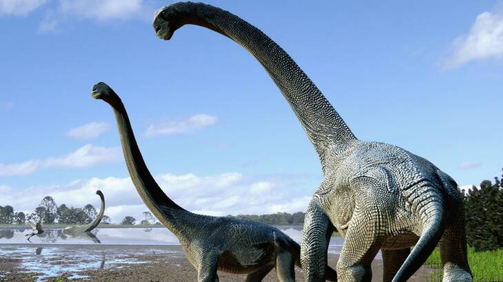 An artist's impression of the new dinosaur, Savannasaurus elliottorum. Photo: Travis Tischler
