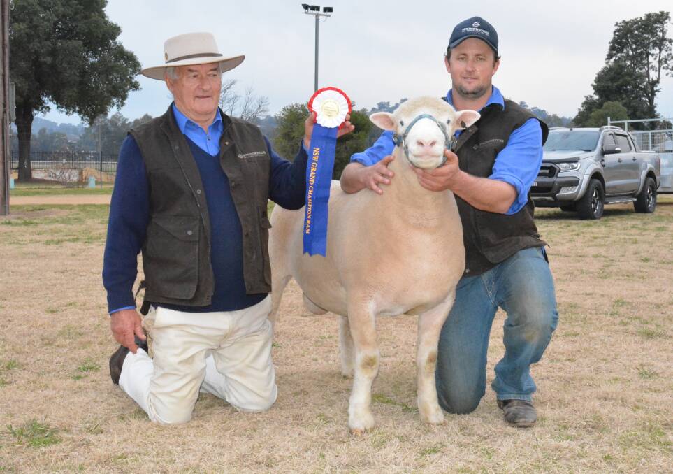 Dennis and Dane Rowley, Springwaters stud, Boorowa, with the supreme exhibit of the NSW Dorset Championships in 2017, Springwaters 66-16. There will be more than 300 entries in this year's event.