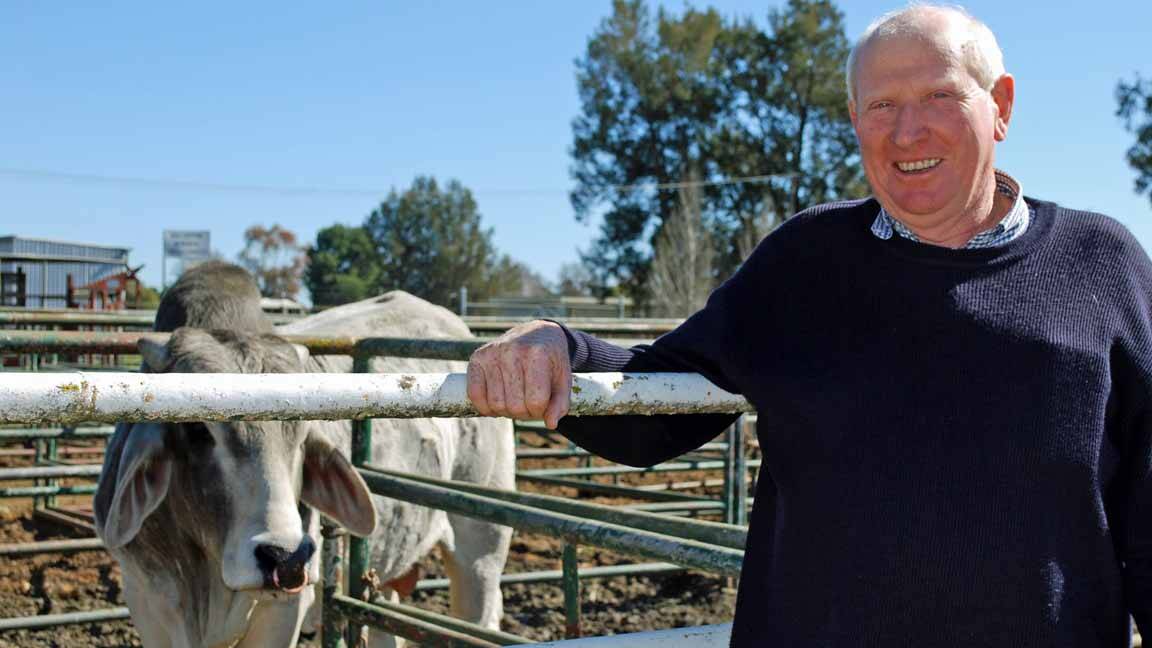 Cowra Show Society's Pat Cleary is hoping the show's inaugural rodeo will be a success.