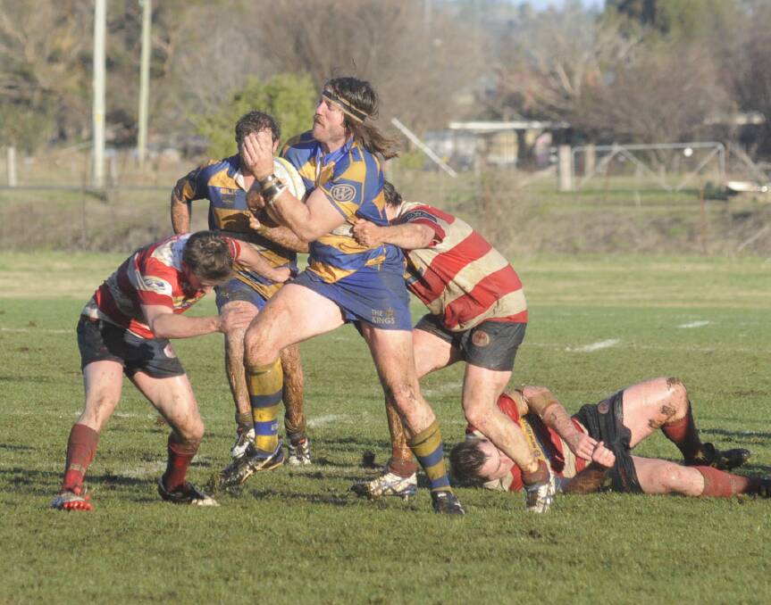 CLINICAL: Izaak Breen and his Bulldogs team-mates were never headed in a 33-0 win over Cowra on Saturday at Ashwood Park. Photo: CHRIS SEABROOK 062516cbdogs1