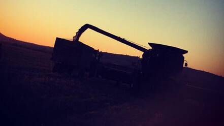 Cowra's harvest is well underway and some of our local residents have shared their harvest pics with us.