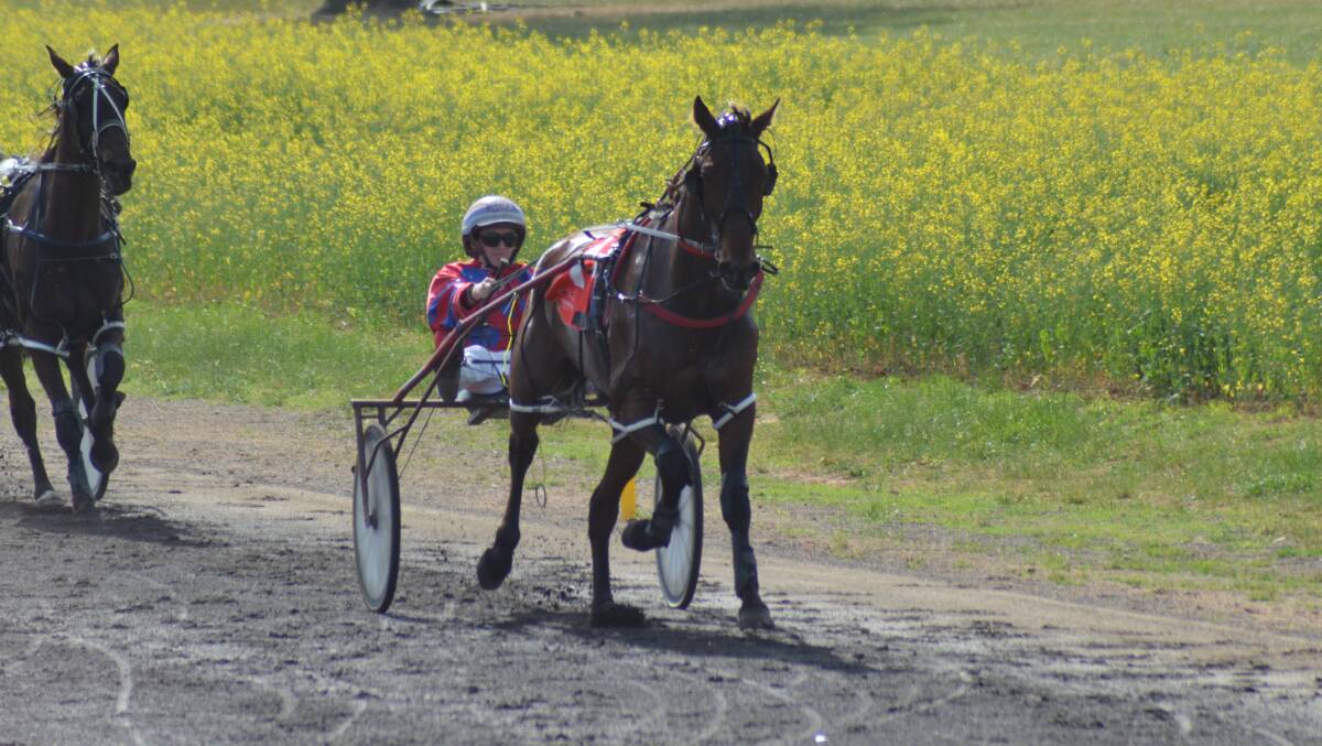 Oh I Am The Won and Amanda Turnbull on their way to taking out the $30,000 Canola Cup final in Eugowra on Monday. Photo by Michael Bushell.