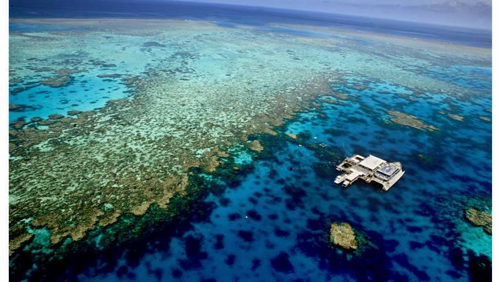 "The health of the Great Barrier Reef has gone down very dramatically,": Senior scientist Hugh Sweatman is not suprised at the downgrading of one of Australia's natural wonders. Photo: Simon O'Dwyer