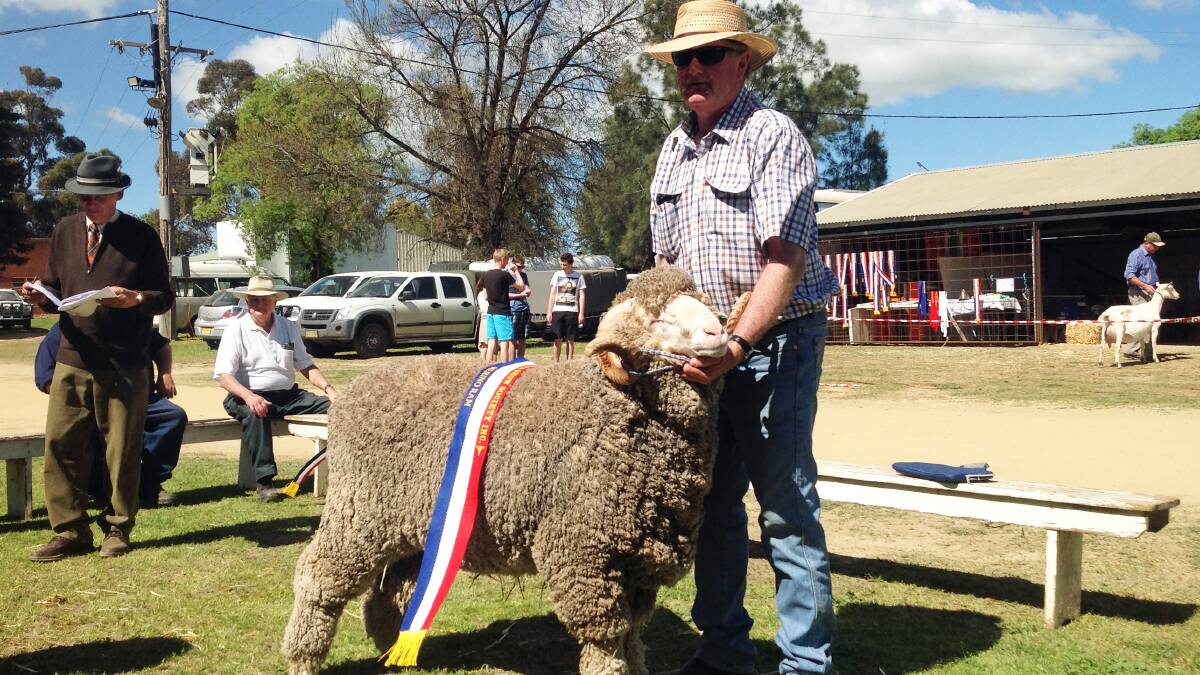 Kim Whitecurch of 'Wendouree,' Grenfell takes out Grand Champion.