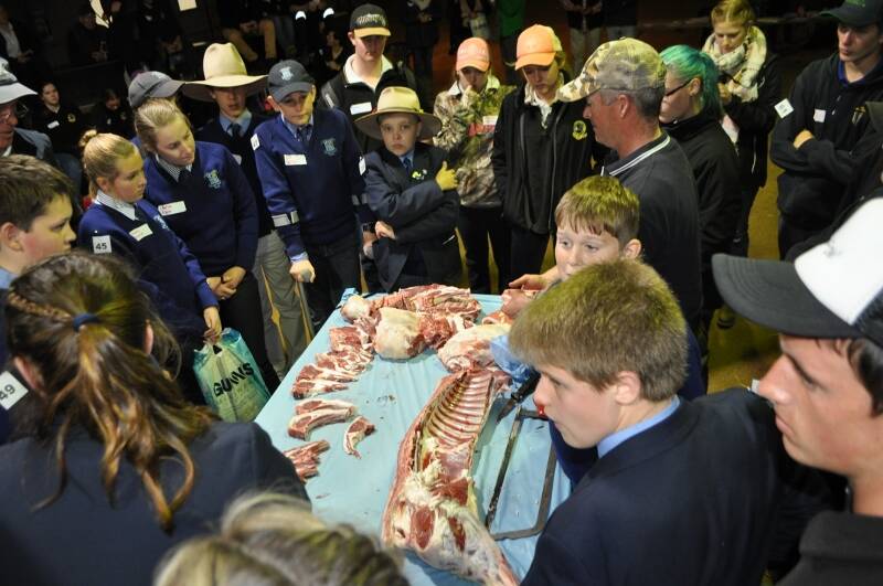 Greg Hamilton, Windradyne Poll Dorsets, Canowindra, demonstrated how to cut up a  lamb carcase and the cuts commonly sold in store. 

