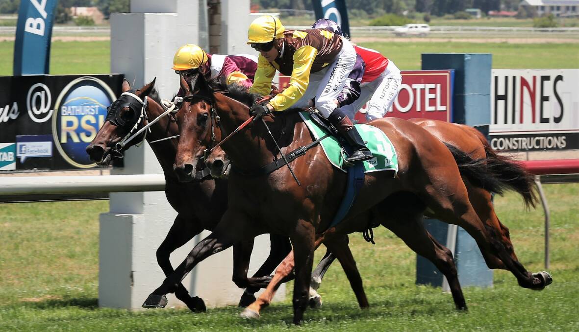 Mathew Cahill combined with Shylock for victory in the first race at Tyers Park on Monday.