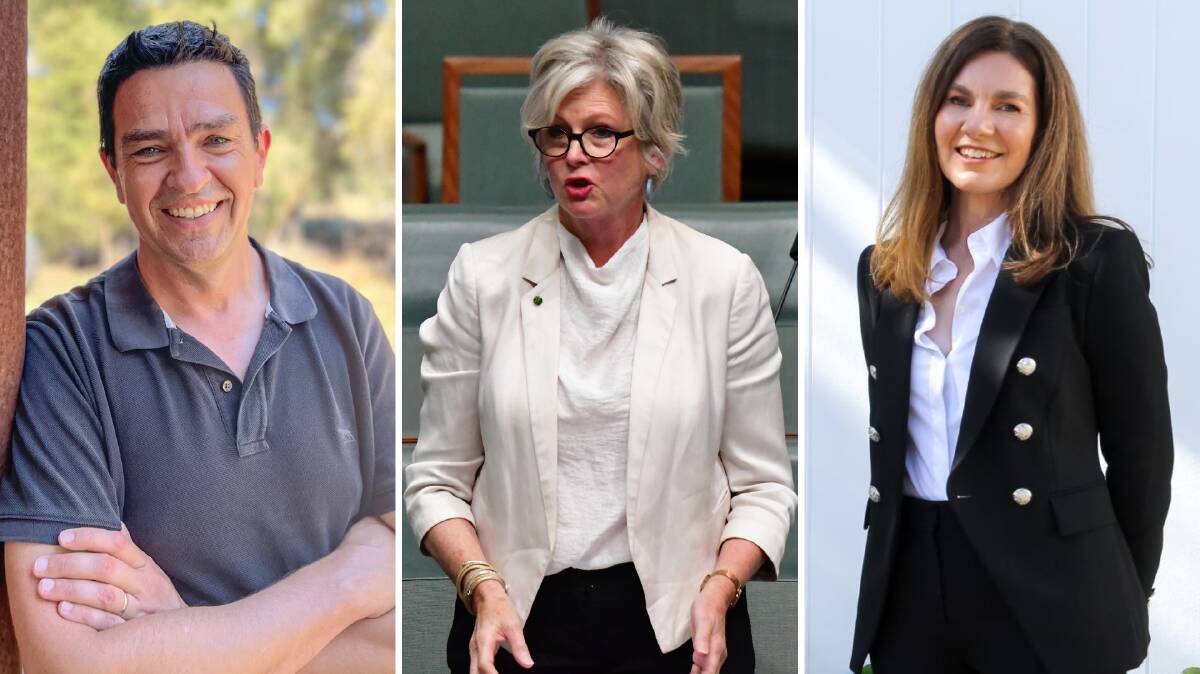 UNCONSTRAINTED: Rob Priestly (Nicholls), Helen Haines (Indi MP) and Suzie Holt (Groom) are among a wave of rural independents in this election.