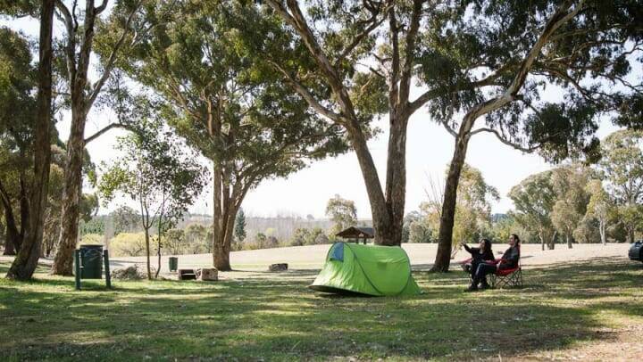 Macquarie Woods Forestry Reserve Campground in Guyong. Picture from Anycamp
