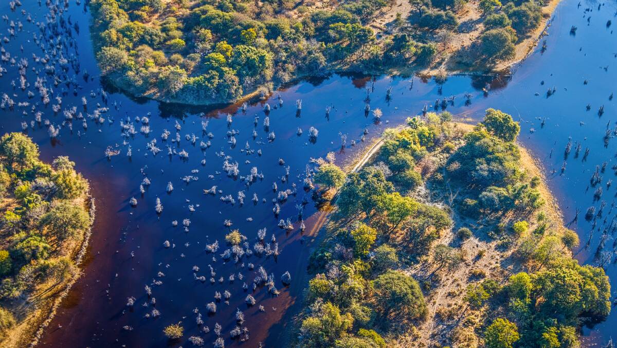 Okavango delta (Okavango Grassland) is one of the Seven Natural Wonders of Africa (view from the airplane)