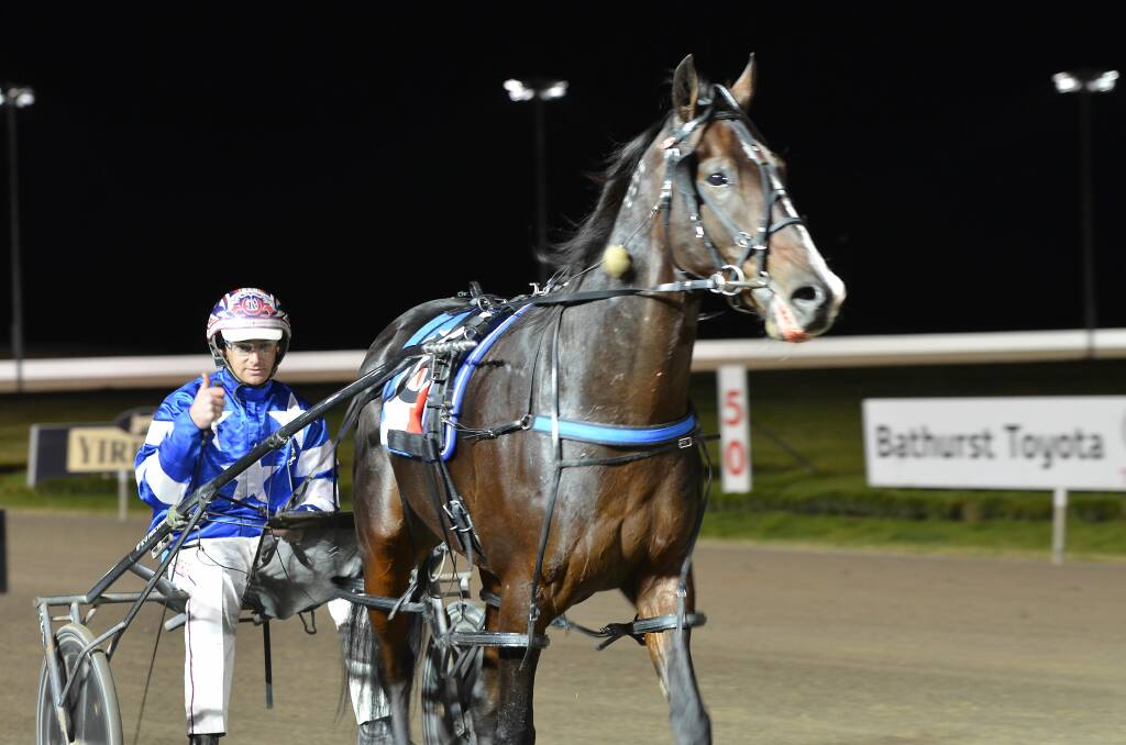 Mat Rue used Authoritative's speed to perfection on Friday night at the Bathurst Paceway.