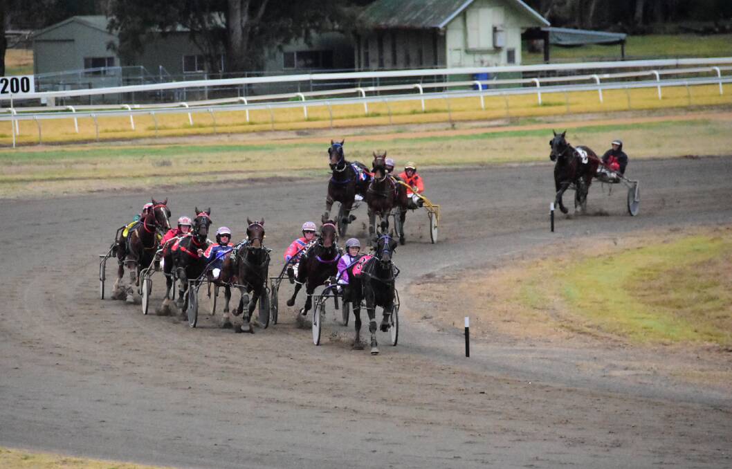 Trots heat up ahead of the Sam Agostino Memorial