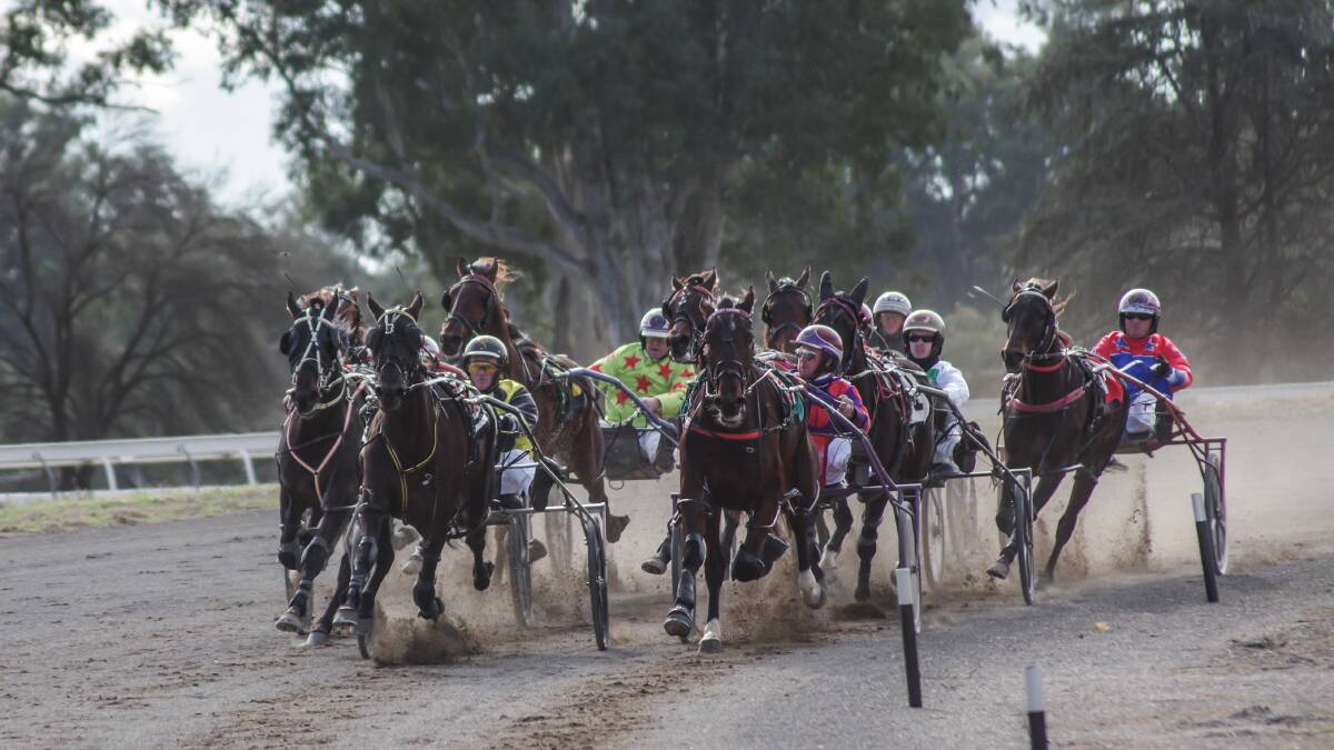 The announcement of a bonus race date for the Cowra Harness Racing Club is a positive for club president Darryl Davis. Photo: Robin Dale