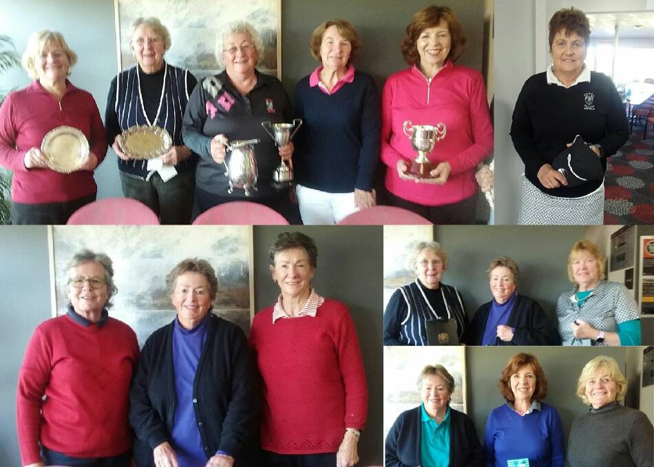 This year's winners (clockwise from left): Champions and runners-up, Divisions One to Three, Division One runner-up Jenny Dresser, Wednesday's winners, Tuesday's winners and this year's Division One to Three handicap winners. Photos supplied by Cowra Ladies' Golf. 