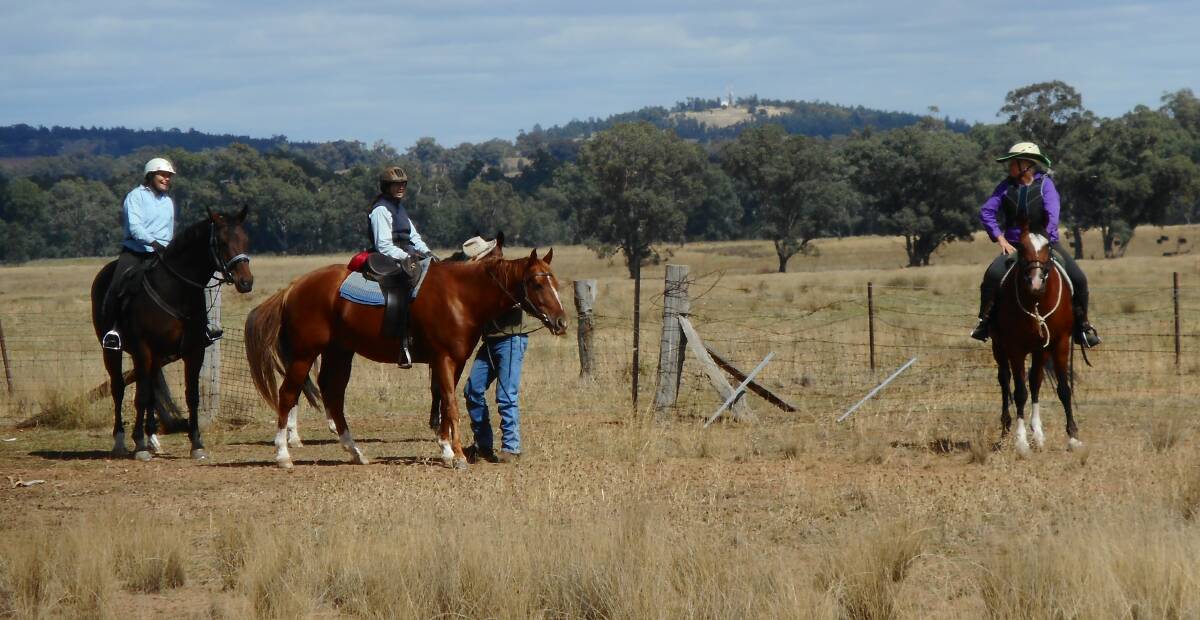 Photos supplied by the Cowra and District Trail Horse Riders