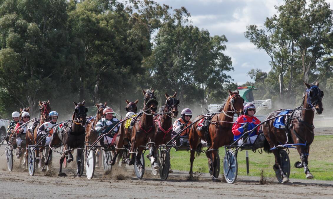 There was plenty of fast racing at the Cowra Harness Racing Club's 100 year meet on Sunday. Photo: Robin Dale