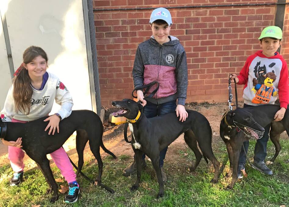 From Left to Right: John McDonald's great grandchildren Chelsea, Riley & Noah McDonald with dogs Dana Queen, Fusion Kiss & Largen In Charge. Photo supplied by the Cowra Greyhound Club.