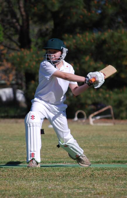 Cowra's cricketers will finish up for the 2018-19 season this weekend at River Park. 