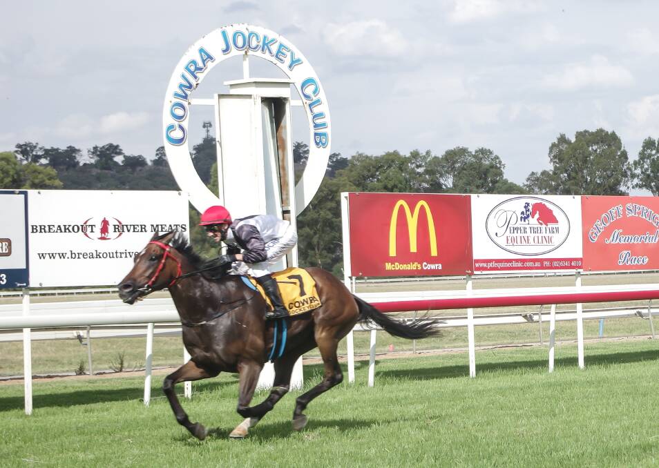 Welcome Art, trained by local Andrew Molloy and ridden by Billy Owen, galloped away from the rest of the field to claim the 1700-metre Cowra Cup on Sunday. Photo: Robin Dale