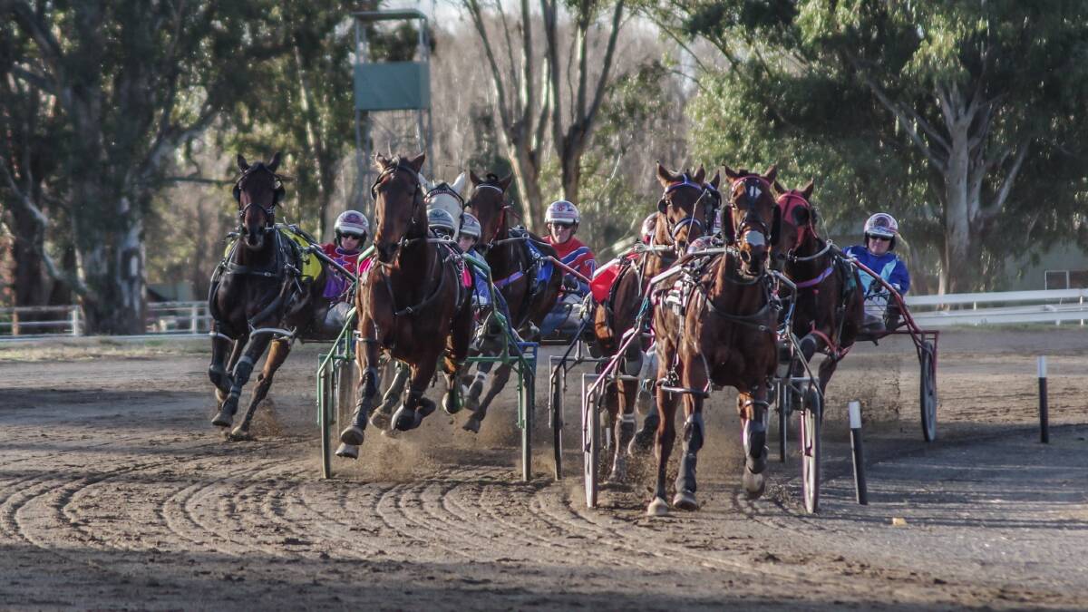 The Tritech Cowra Cup was a hotly contested race, but Ned Pepper driver Angela Hedges maintained control from the outset to hold out the competition in a fast finish. Photo: Robin Dale