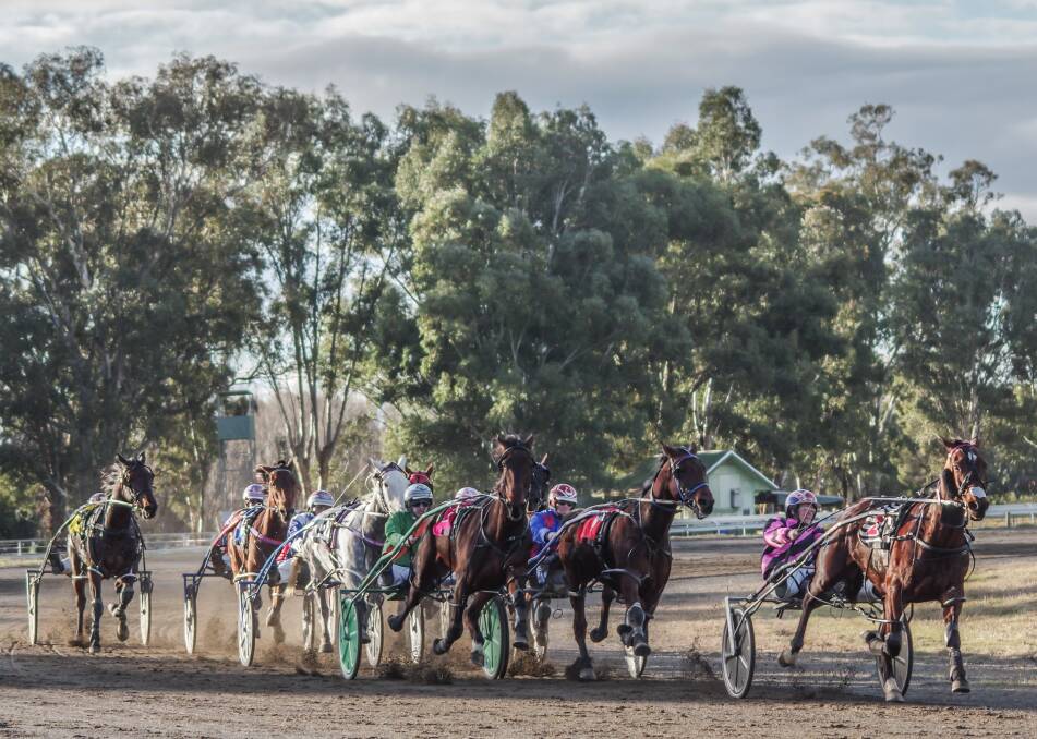 Ned Pepper (right) will feature in the Centenary Cup on Sunday afternoon at the Cowra Harness Racing Club's 100th anniversary meet. Photo: Robin Dale
