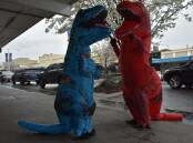 Baby Rex and Tee Rex in a mock battle on Cowra's main street.