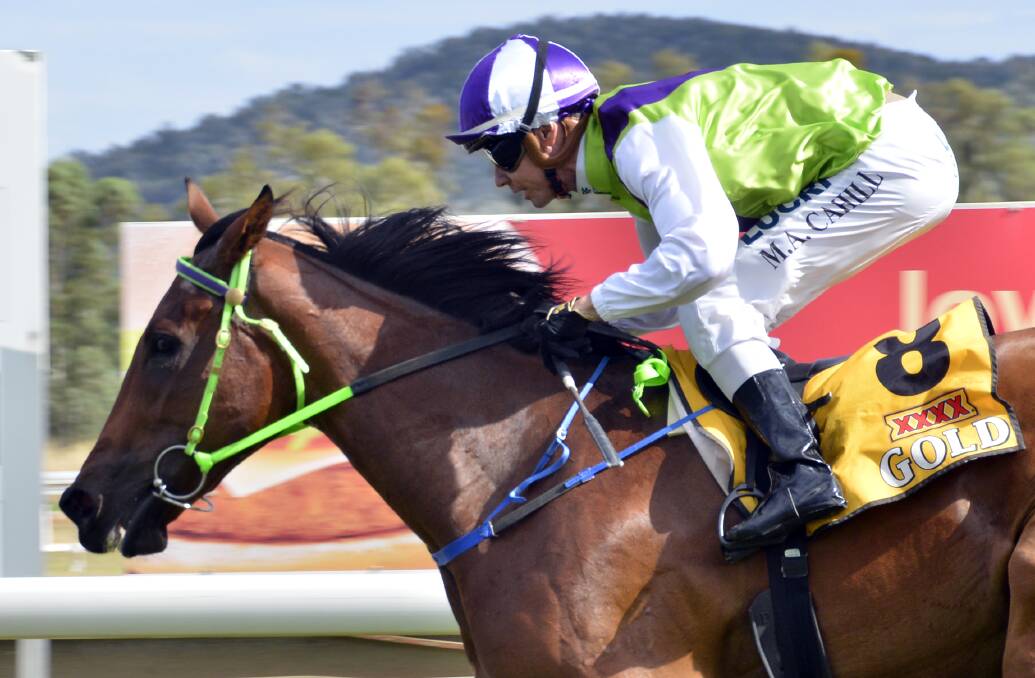 BACK TOGETHER: Cahill will ride Wellington Boot winner Lucy Rose at Moruya on Monday.