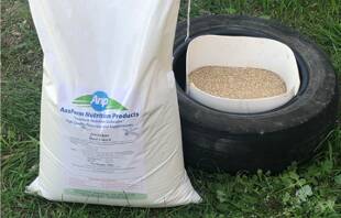 Supplementation key to unlocking winter feed potential