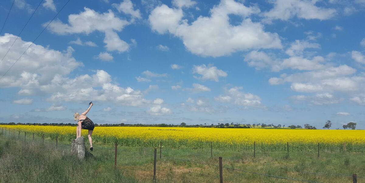 Former Cowra Guardian journalist Belinda Cleary attempting to take a picture of one of Cowra's fields of gold last year. The photo by Kelsey Sutor is a finalist in this year's PANPA awards.