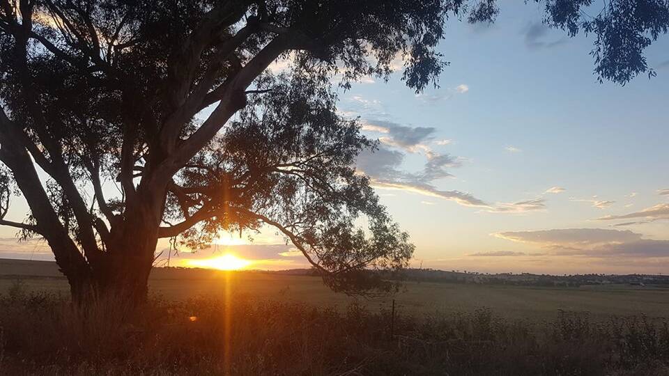 The hot weather is making a comeback in Cowra this week. Photo by Suze Clark.