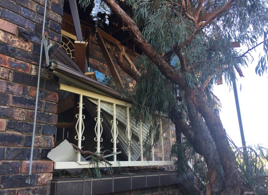 A large tree fell on this home in Taronga Drive at the height of Friday's storm.