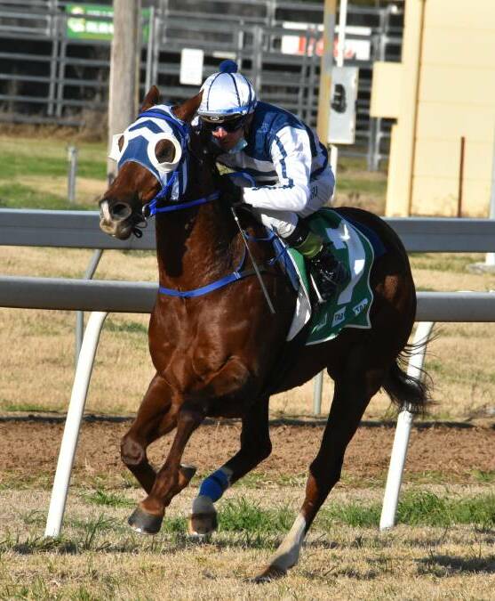 Last start winner Deshawn racing to the lead at Cowra earlier this month. Photo Andrew Fisher.